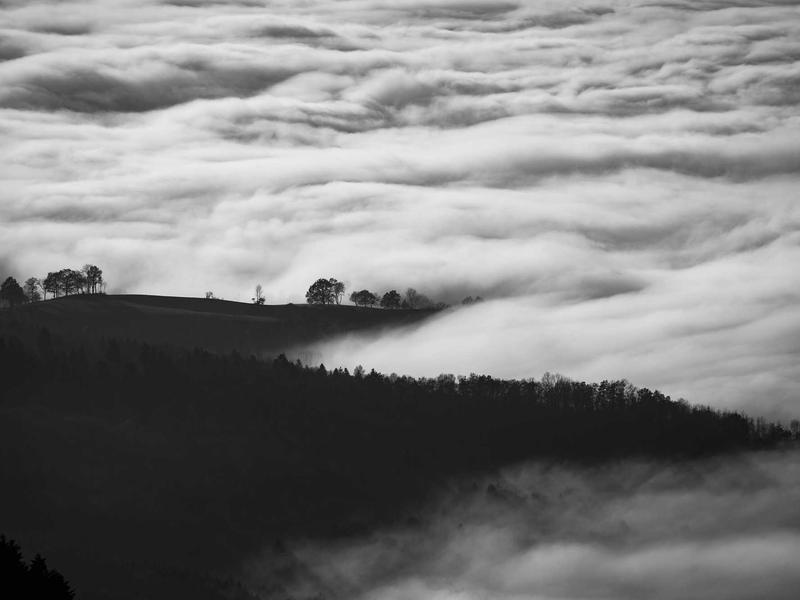 KoNorRenSaivo Boca Chica